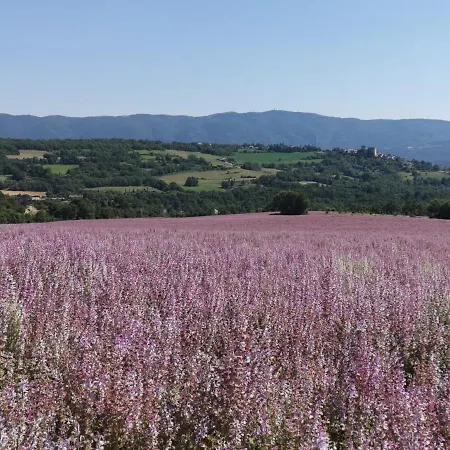 Seasonal Apartman Simiane-la-Rotonde